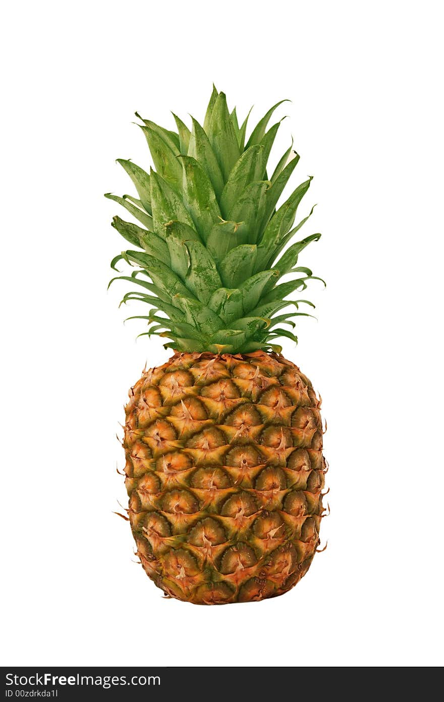 Pineapple, front view