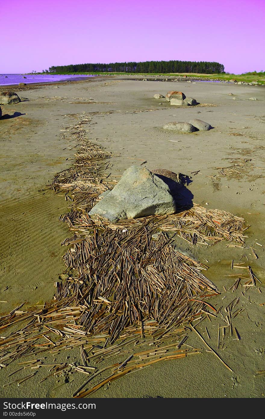 A photo of reed run on the coast