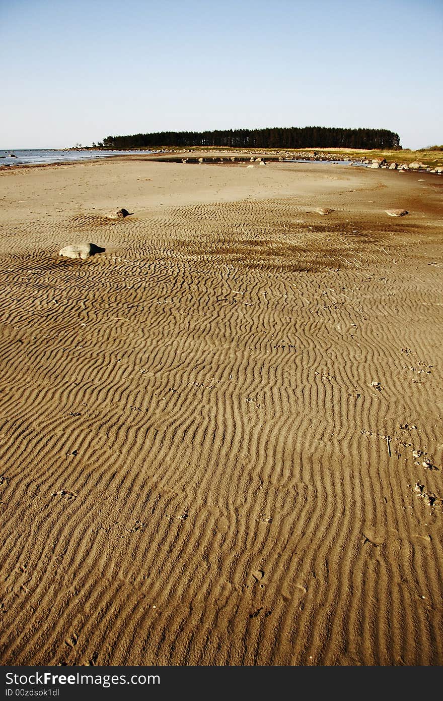 A photo of sandy waved beach with some stones and reed. A photo of sandy waved beach with some stones and reed.