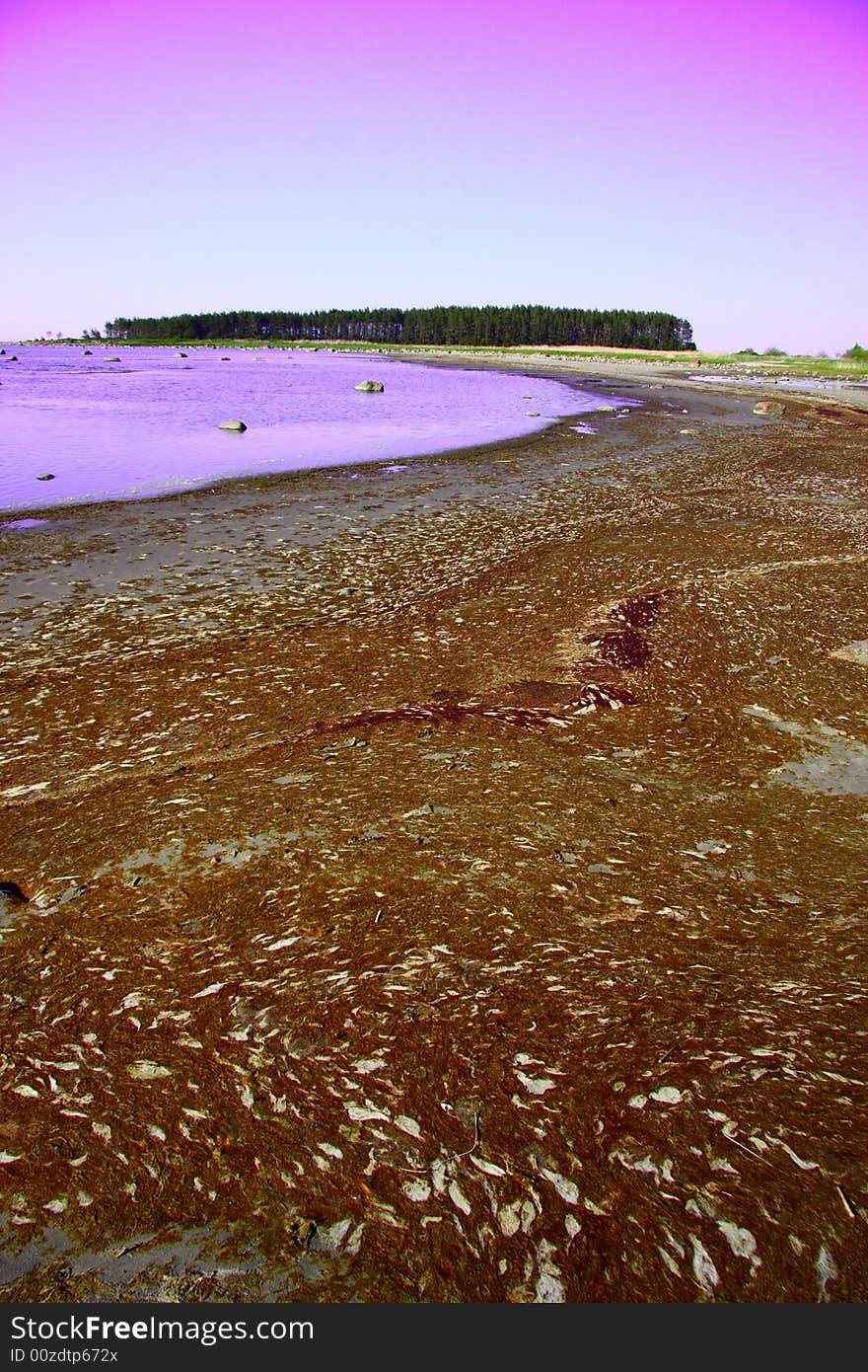 A photo of a bay where the beach is covered with dry algaes. A photo of a bay where the beach is covered with dry algaes