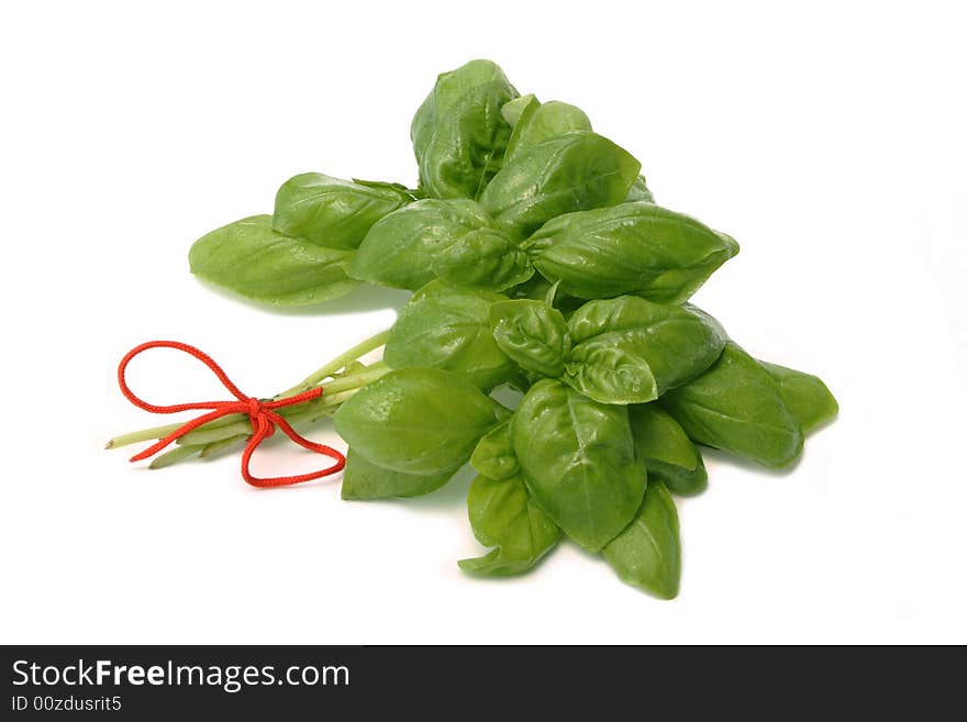 Bundle basil (herb) isolated on white. Bundle basil (herb) isolated on white