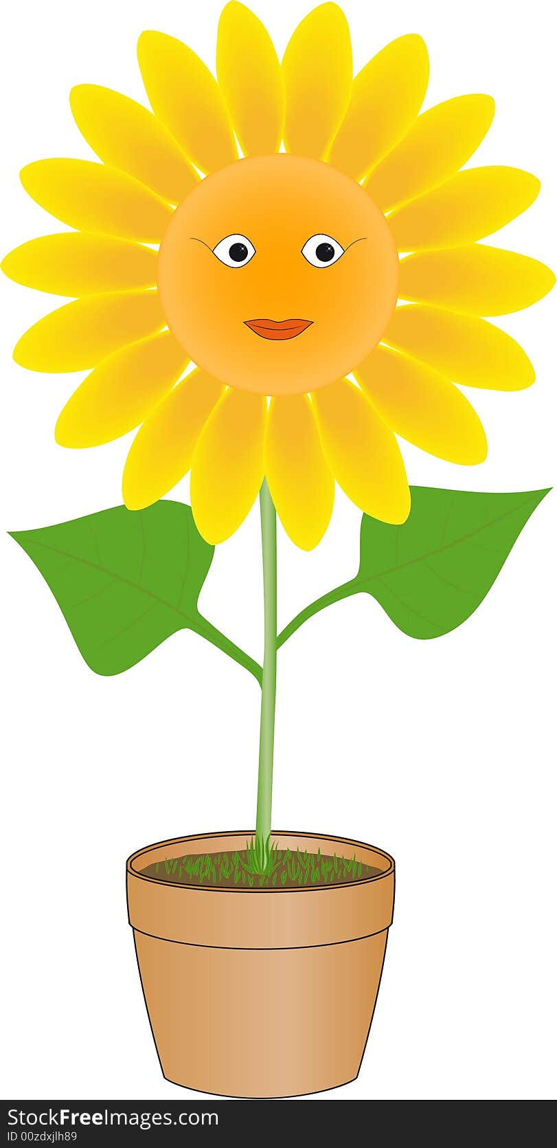 Funny sunflower with smiling face in pot. Funny sunflower with smiling face in pot