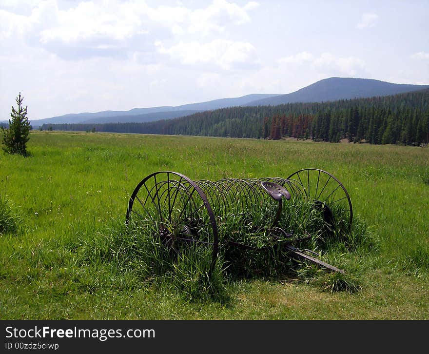 Old tiller in the upper Colorado River valley, Rocky Mountain National Park. Old tiller in the upper Colorado River valley, Rocky Mountain National Park