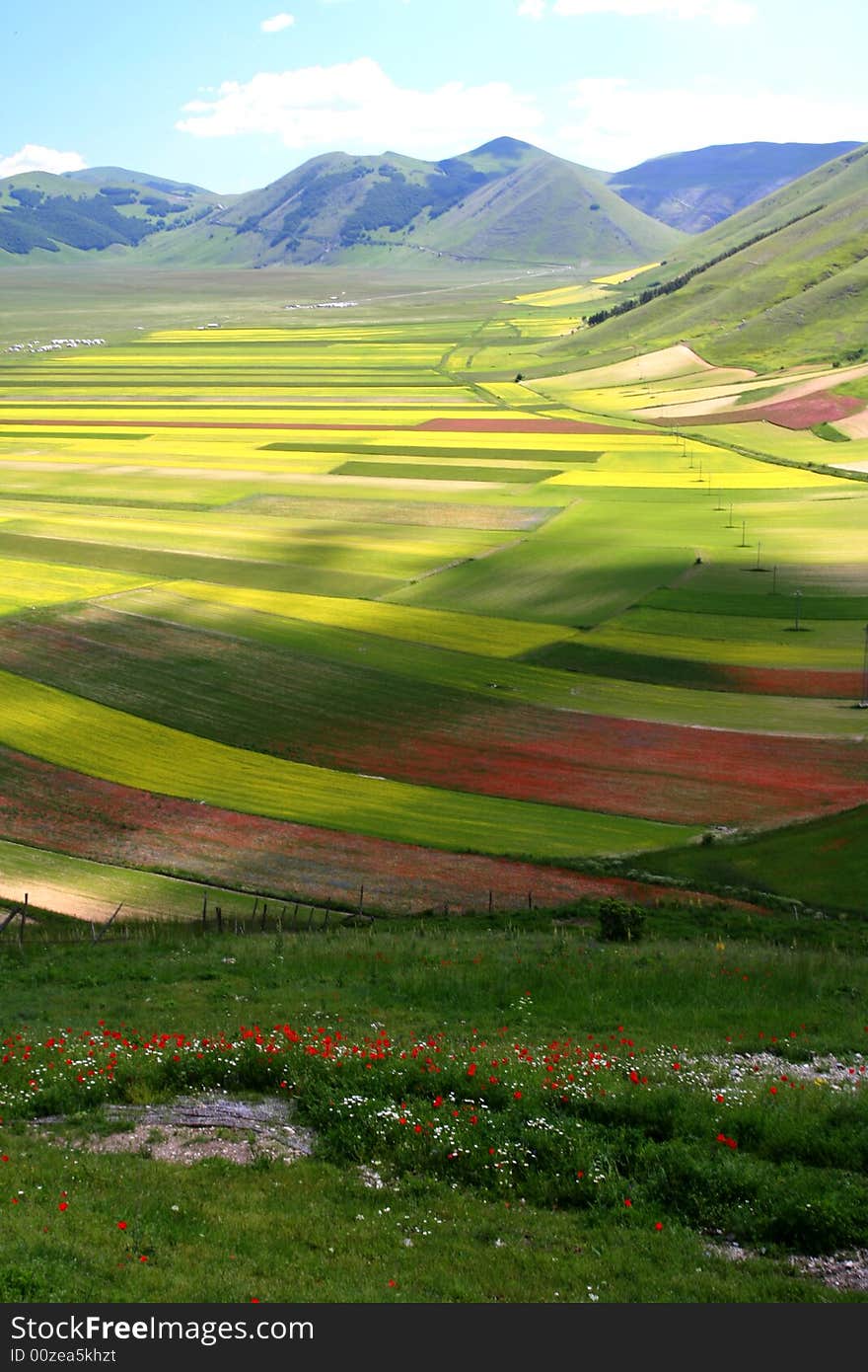 Summer landscape captured near Castelluccio di Norcia - Umbria - Italy. Summer landscape captured near Castelluccio di Norcia - Umbria - Italy