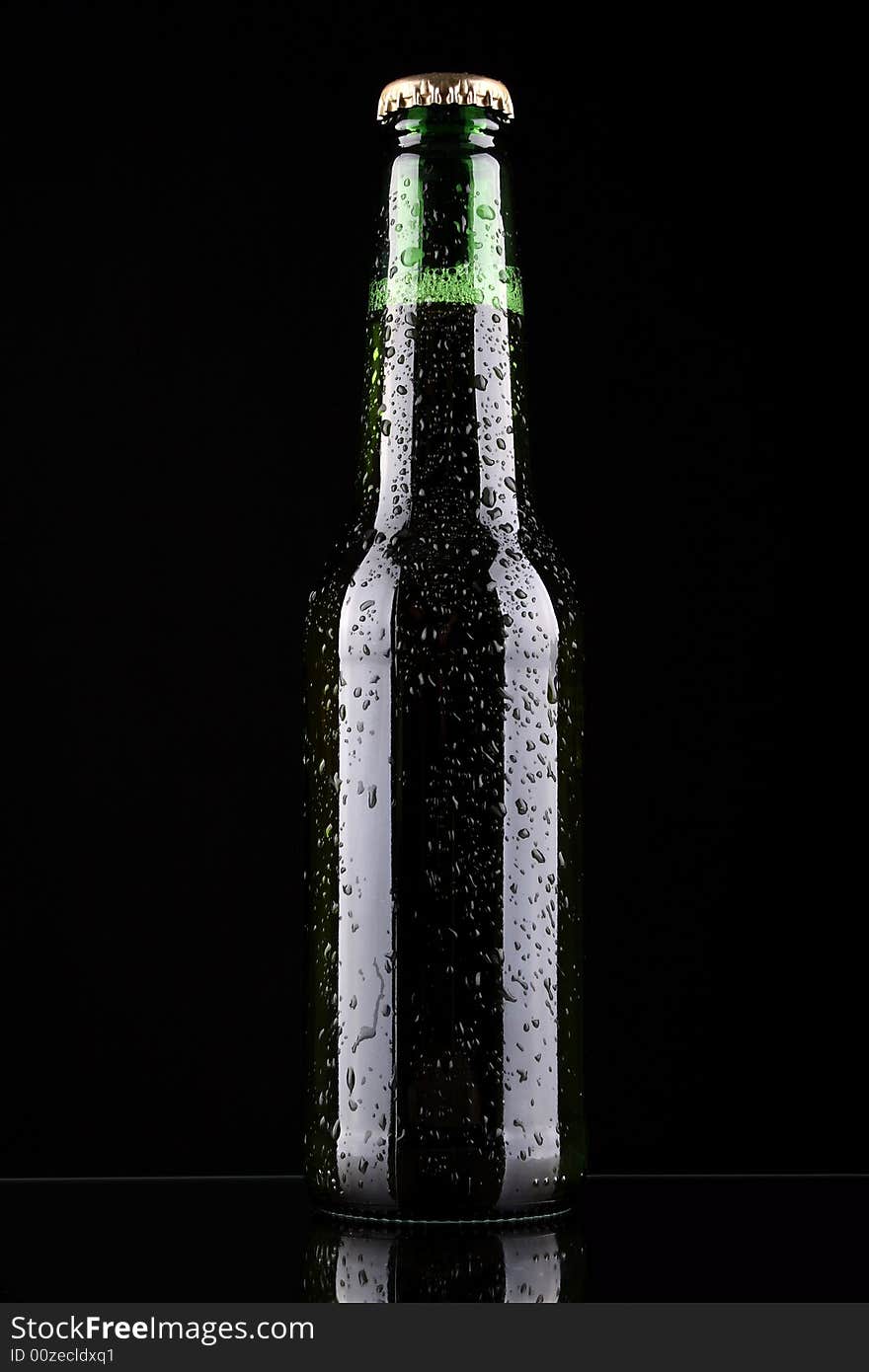 Studio shot of wet glass of beer