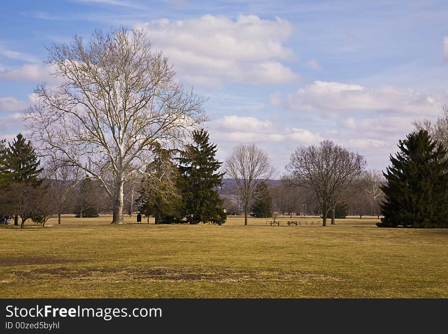 Early Spring in the Park