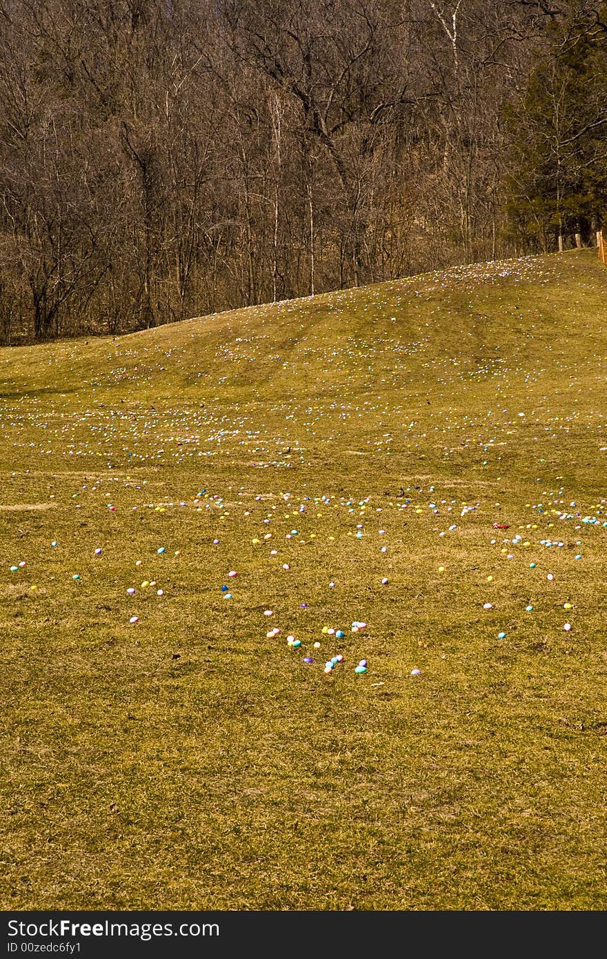 Easter Eggs For Hunting