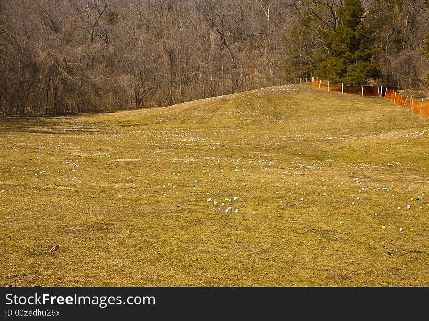 Field filled with colored eggs. Field filled with colored eggs