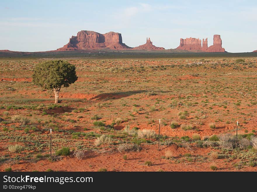 Desert shrubs with famous rock formations of Monument Valley in the background. Arizona/Utah State line. USA