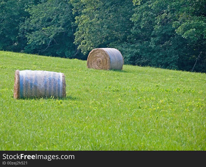 Bales Of Hay