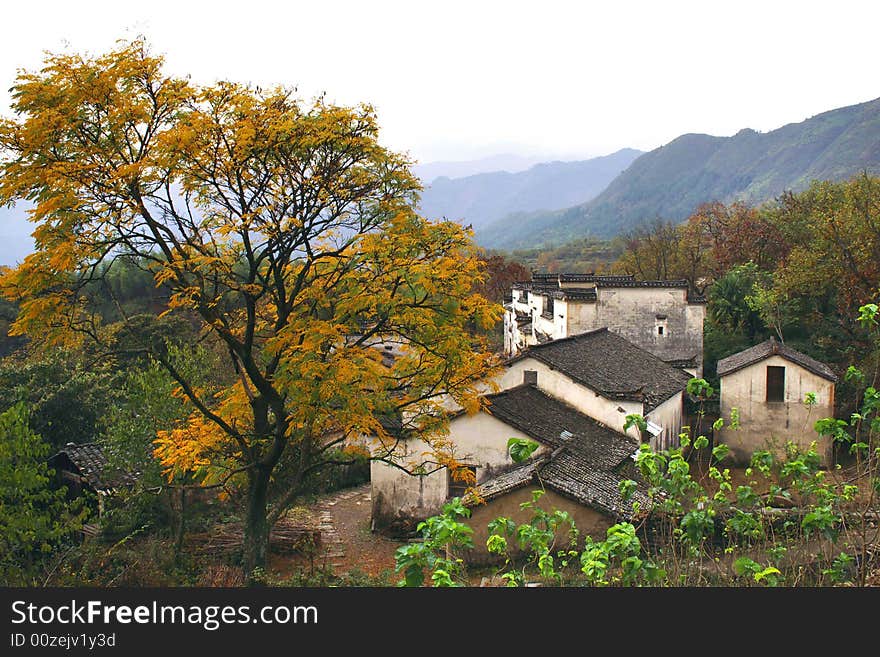 Village morning