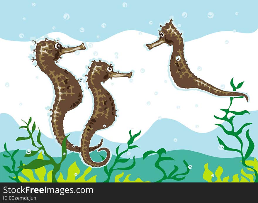 Coloured drawing of three seahorses at sea landscape. Coloured drawing of three seahorses at sea landscape