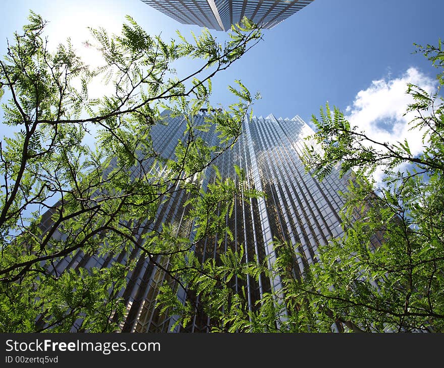 Two gleaming tall corporate skyscrapers surround a few trees in a shot from the ground up. Two gleaming tall corporate skyscrapers surround a few trees in a shot from the ground up.