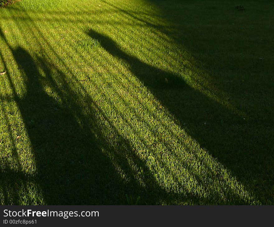 Shades on the lawn