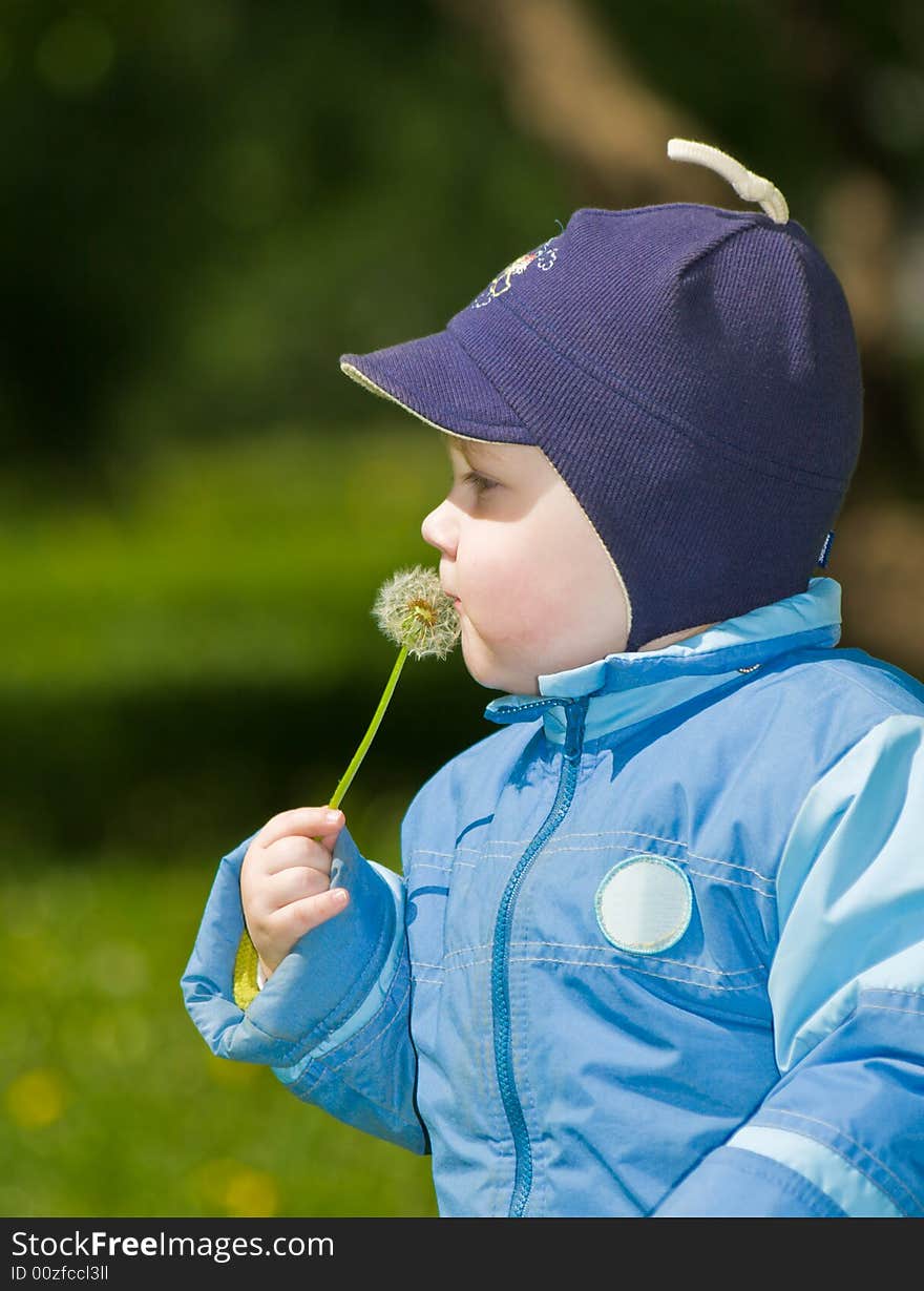 Boy with a dandelion in hands on a background of the nature. Boy with a dandelion in hands on a background of the nature