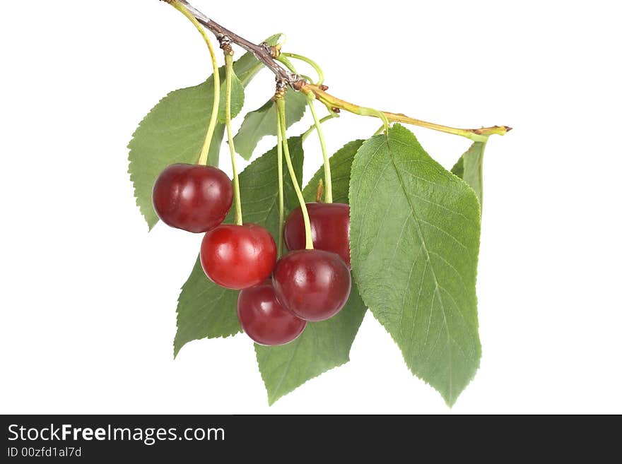 Fresh  cherries isolated on white background