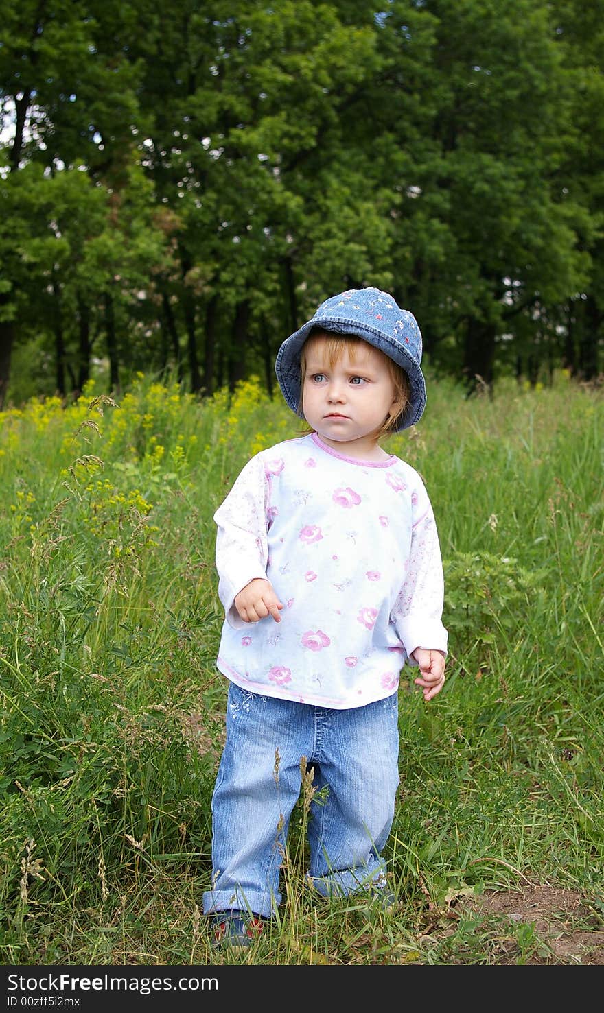 Cute little girl on a background of a landscape. Cute little girl on a background of a landscape