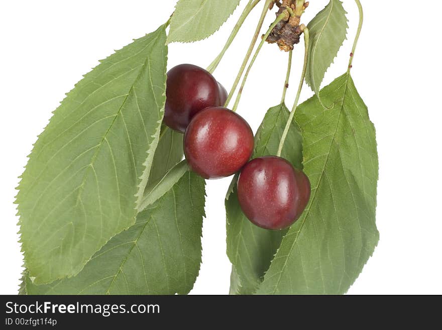 Fresh  cherries isolated on white background