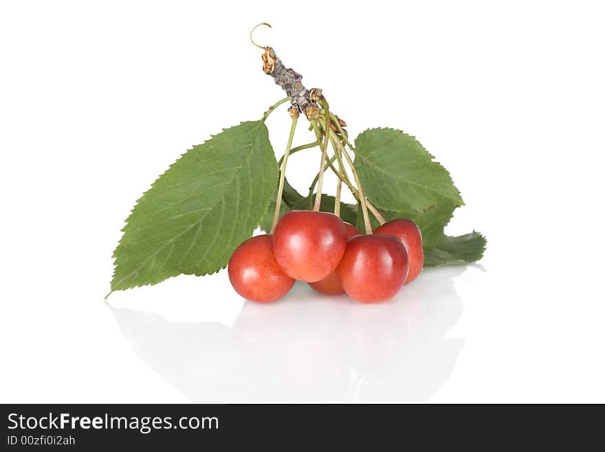 Fresh cherries isolated on white background. Fresh cherries isolated on white background