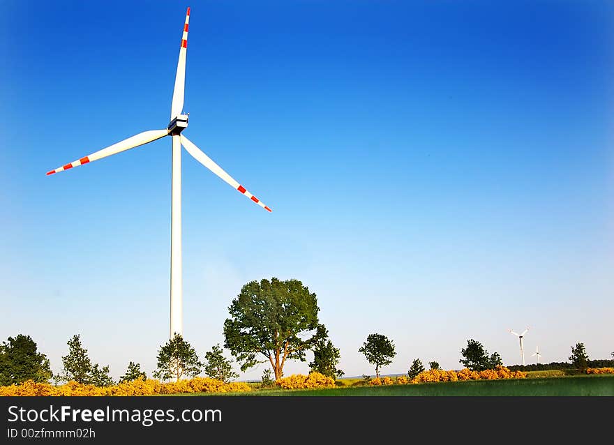 Wind turbines. Energy. Beautiful meadow