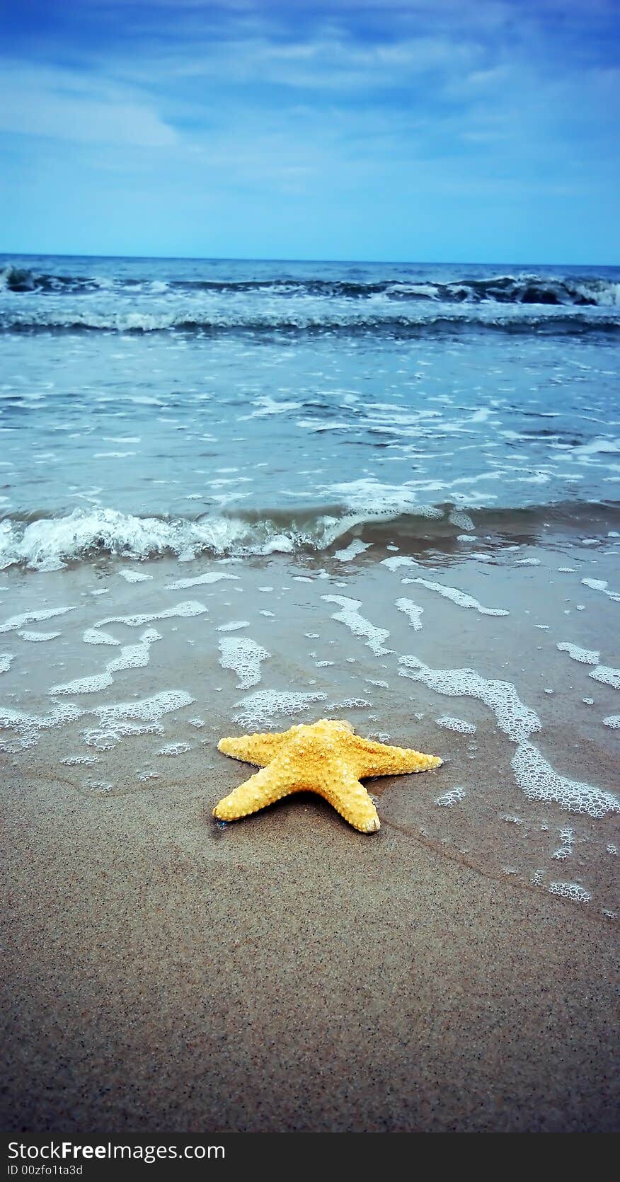 Starfish on the tropical beach