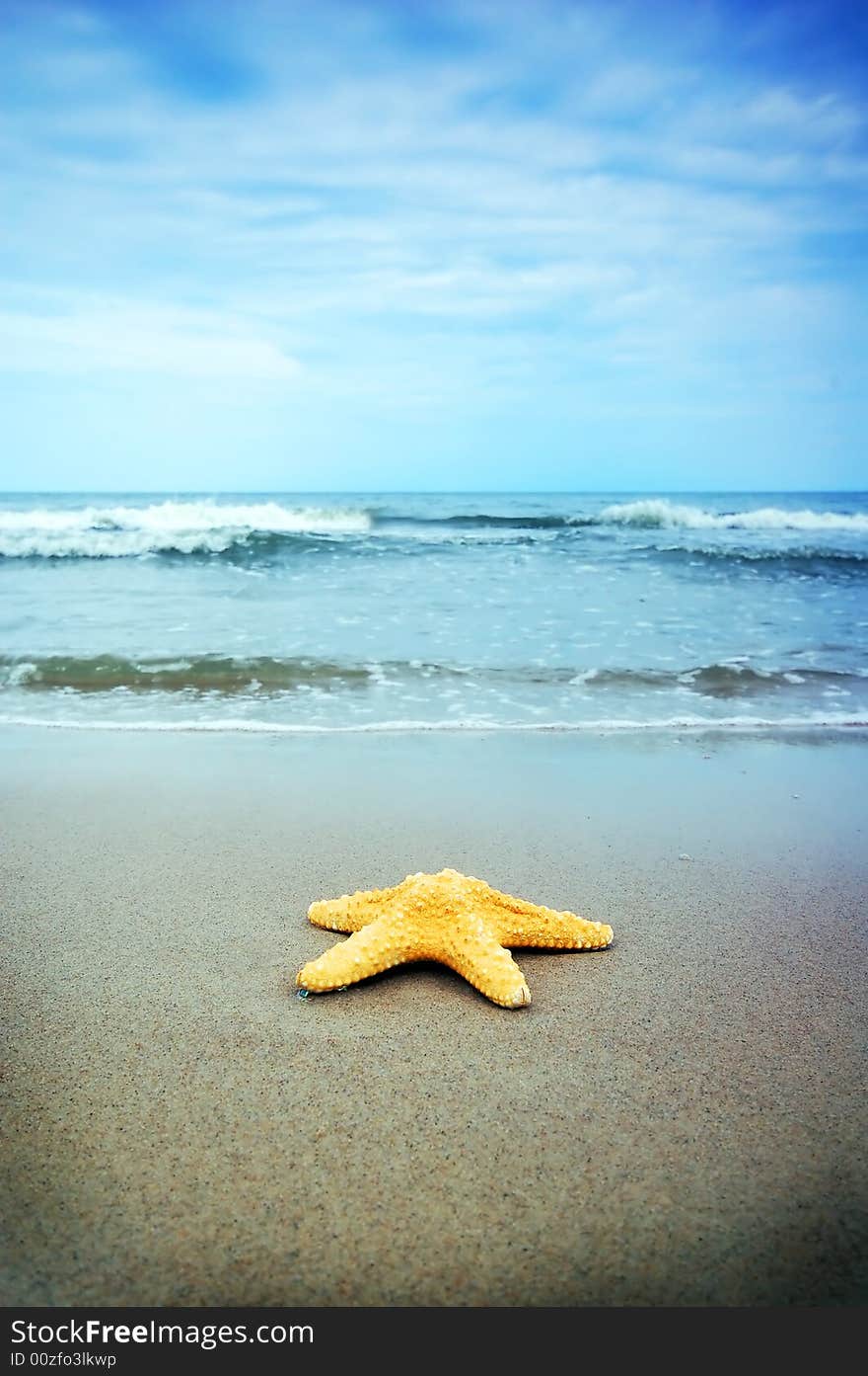 Starfish on the tropical beach