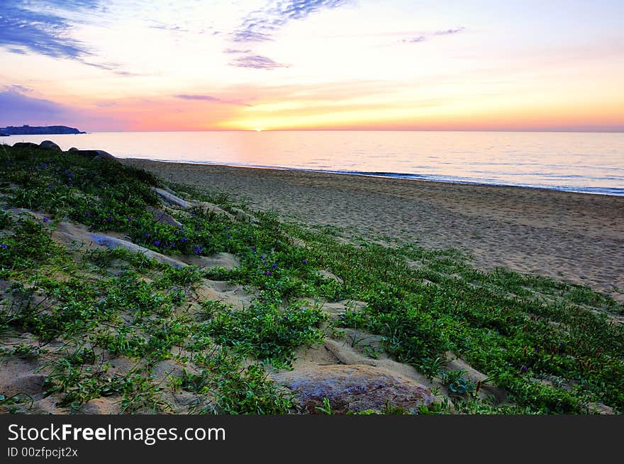 Seashore in the setting sun, nobody left sand beach, wild sand beach plant. The scenery is enchanting.