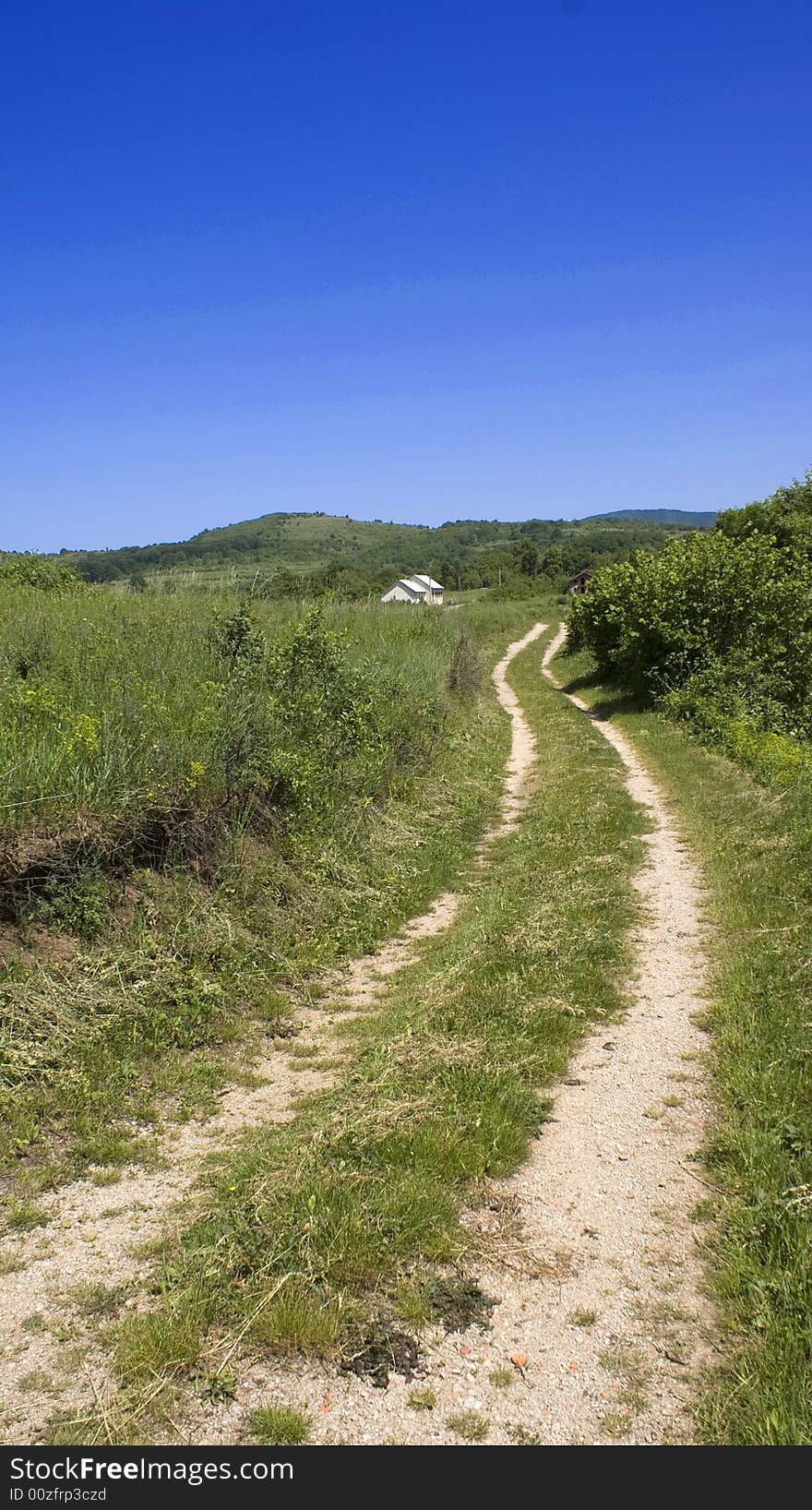 Winding Road To School