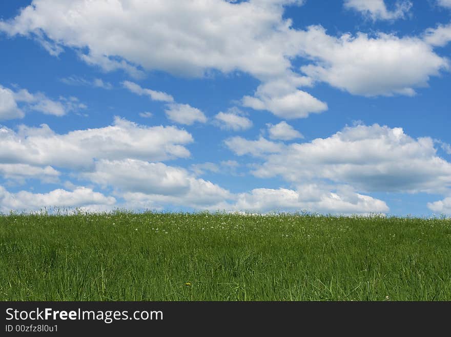 Green Field And The Blue Sky