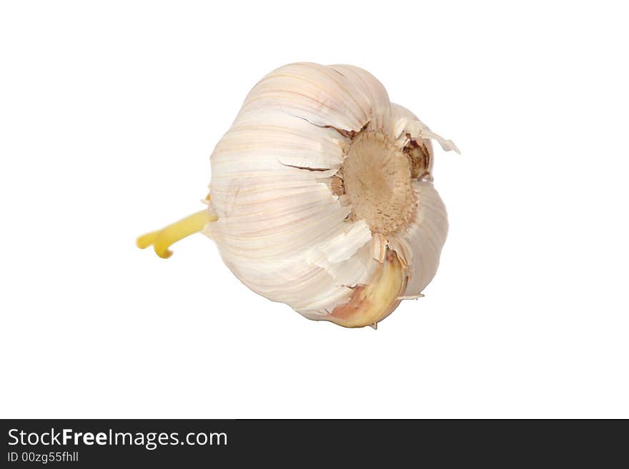 Isolated garlic on white background without shadows