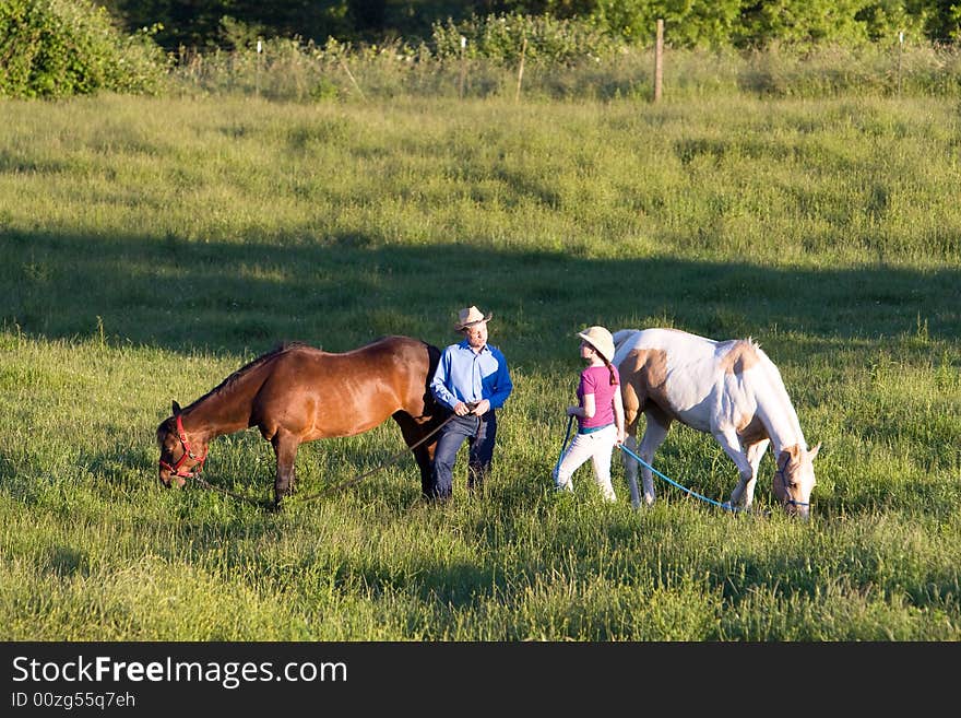 Two farmers talk in a green field of grass while their horses eat. - horizontally framed. Two farmers talk in a green field of grass while their horses eat. - horizontally framed