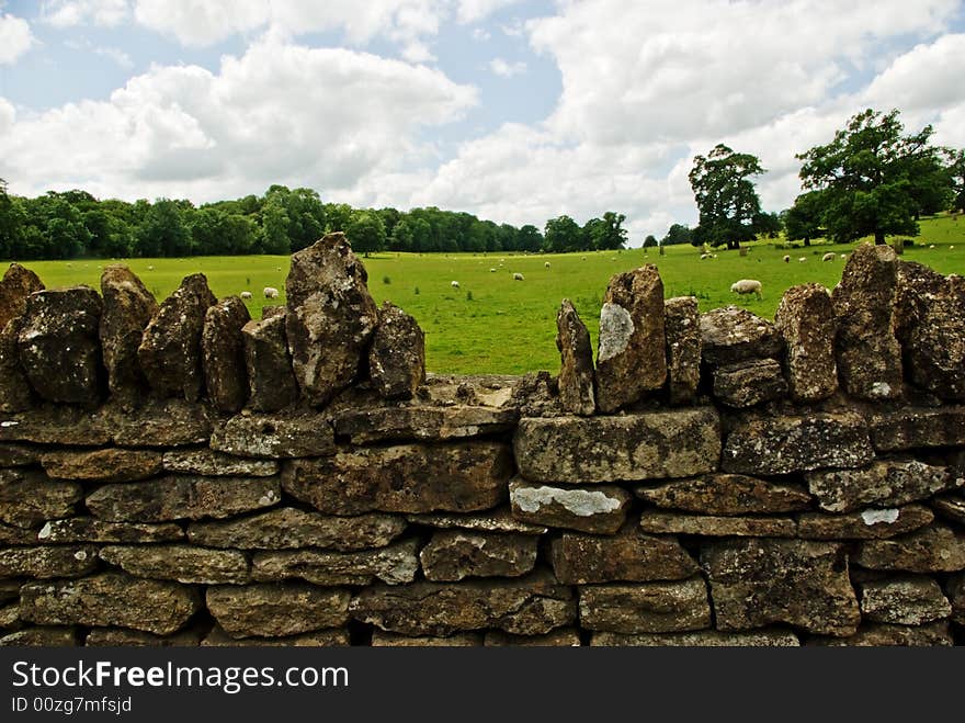 Wiltshire Landscape