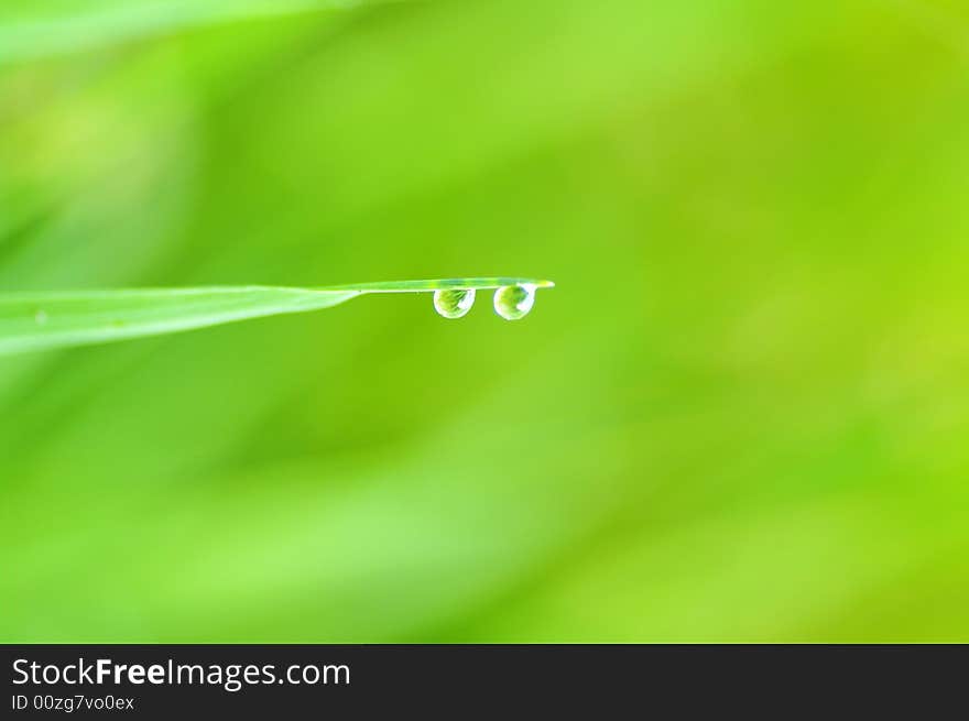 Grass with two raindrops and green background