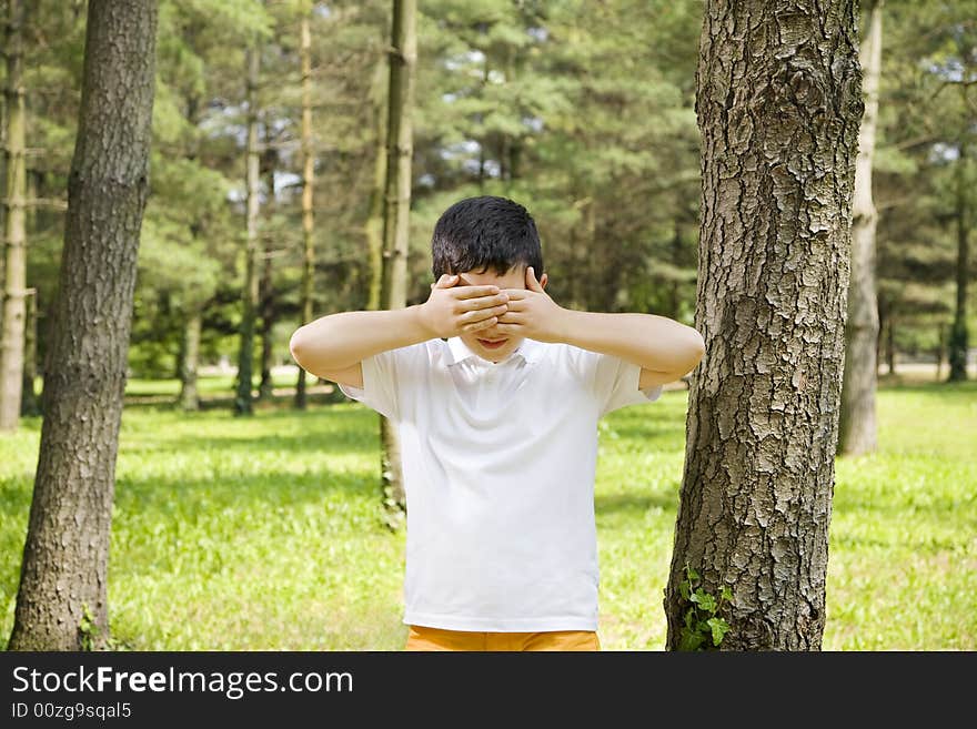 Young boy playing hide and seek, leaning between trees in park. Young boy playing hide and seek, leaning between trees in park.