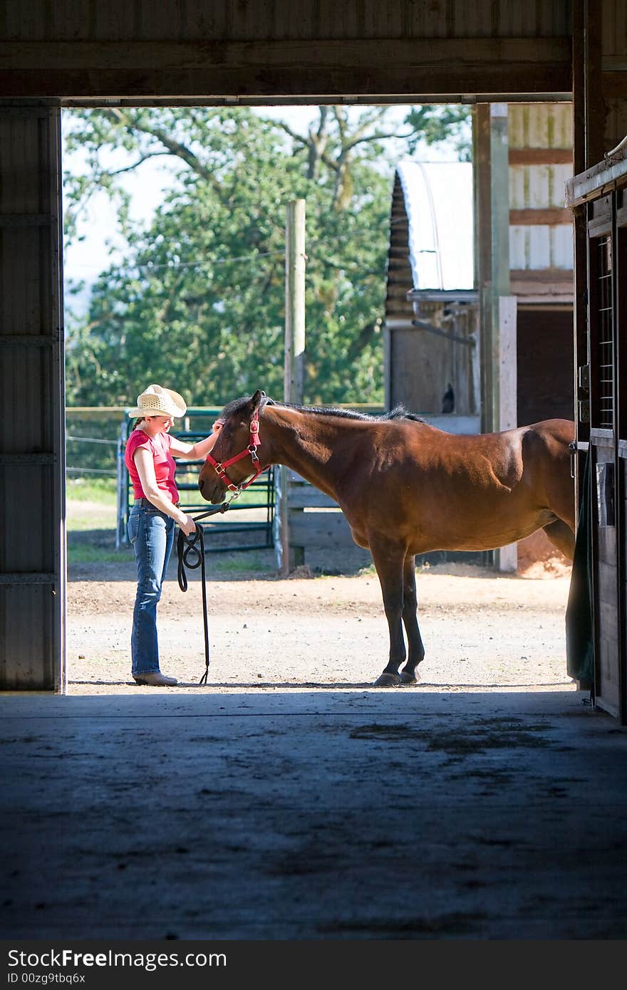 Horse gets pet - vertical