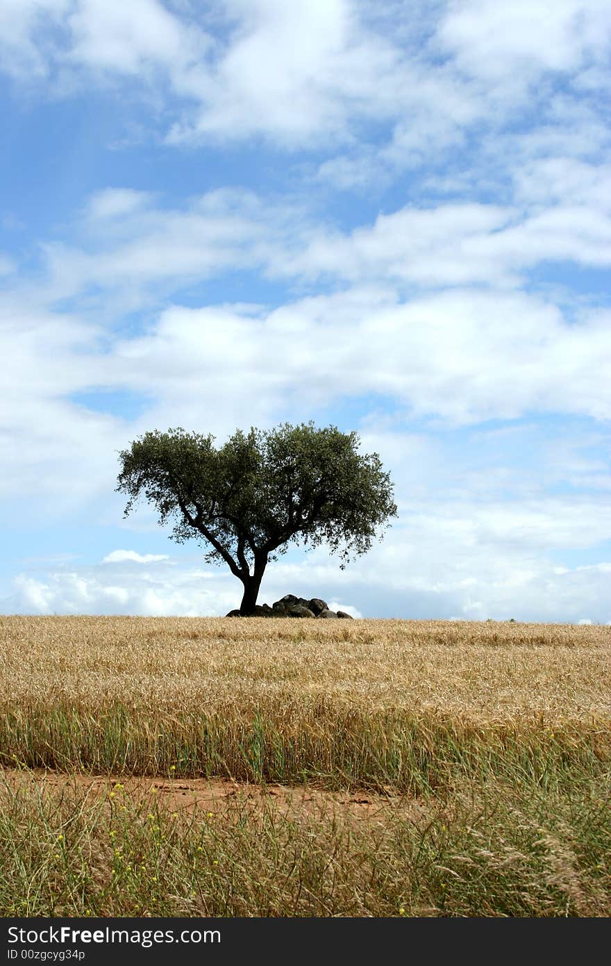 alentejo