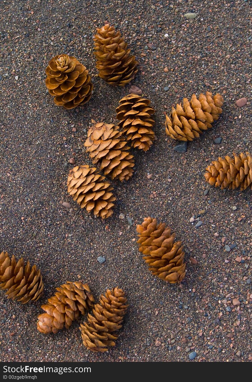 Pine Cones On Sand