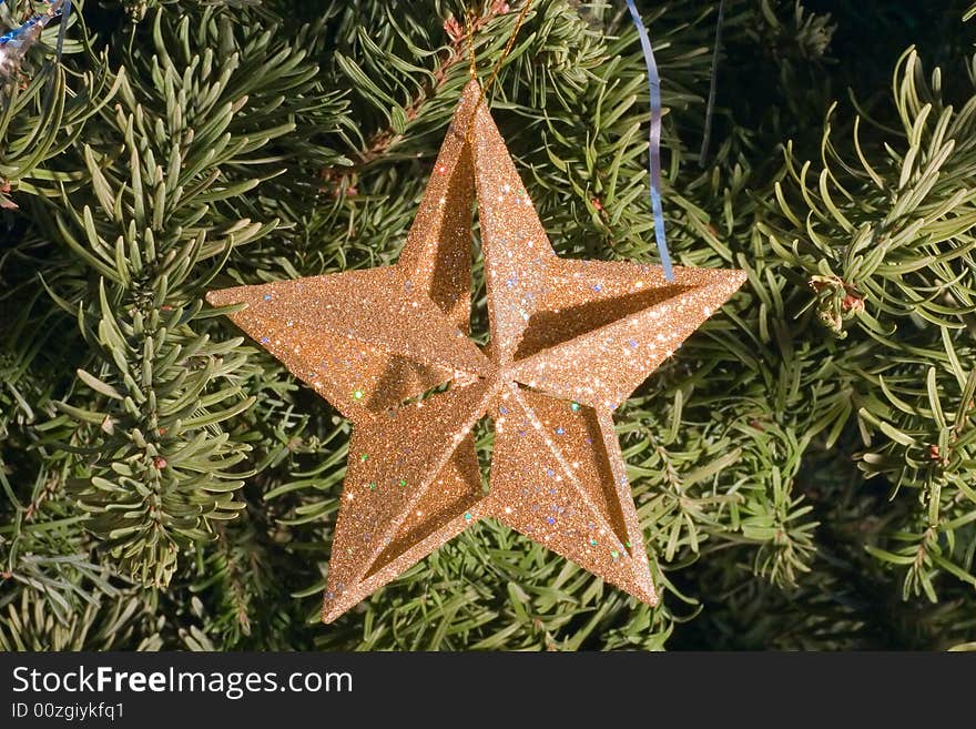 Christma star