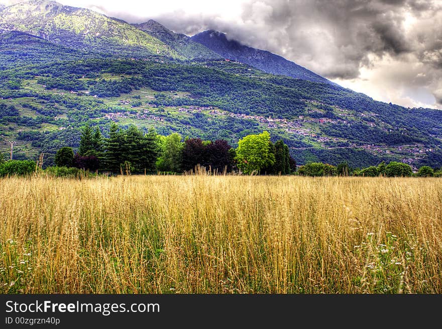 Campaign with trees and lawns mountains. Campaign with trees and lawns mountains