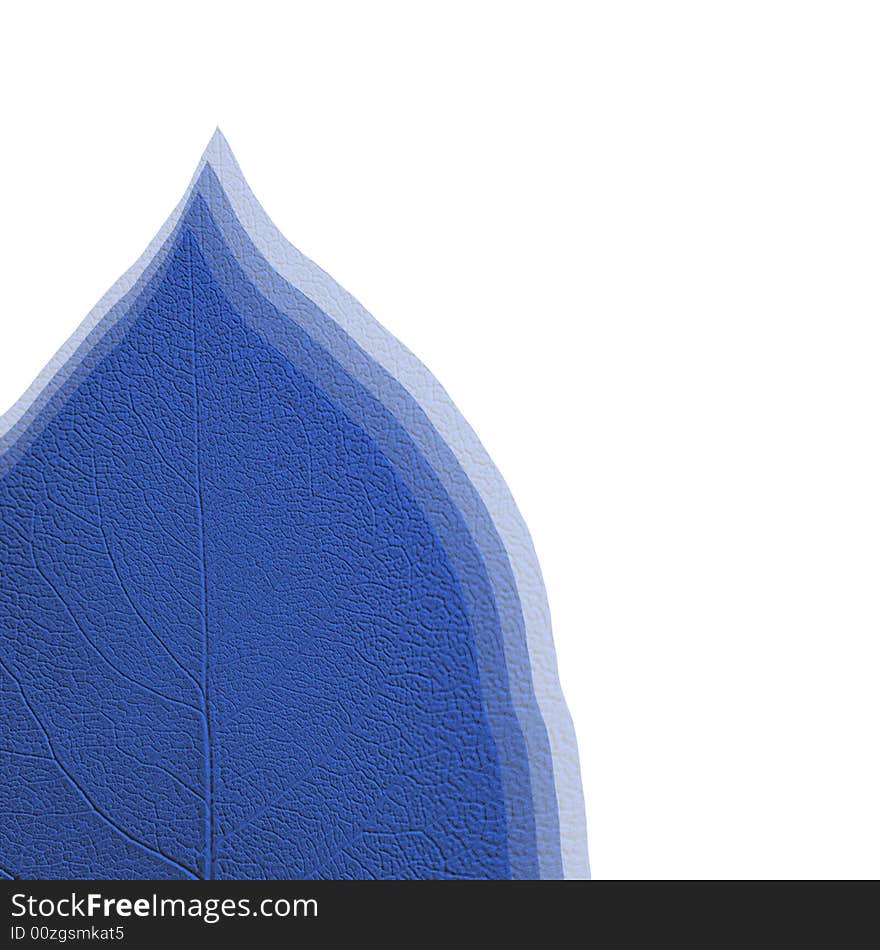 Close-up of leaf shapes on white background. Close-up of leaf shapes on white background