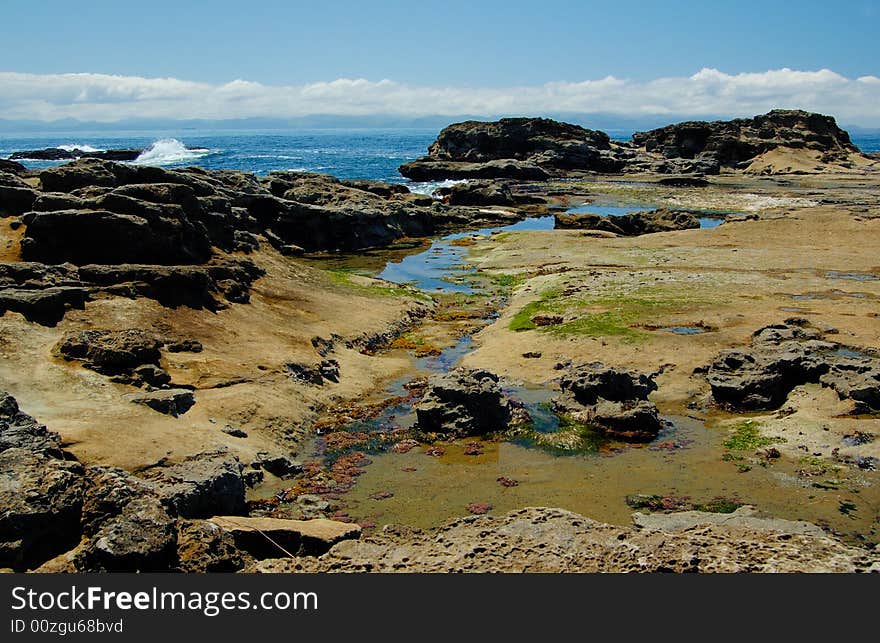 Rocks at the low tides