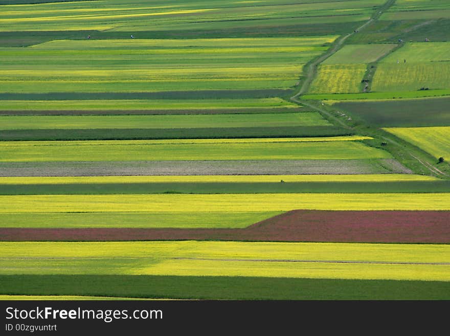 Summer landscape captured near Castelluccio di Norcia - Umbria - Italy. Summer landscape captured near Castelluccio di Norcia - Umbria - Italy