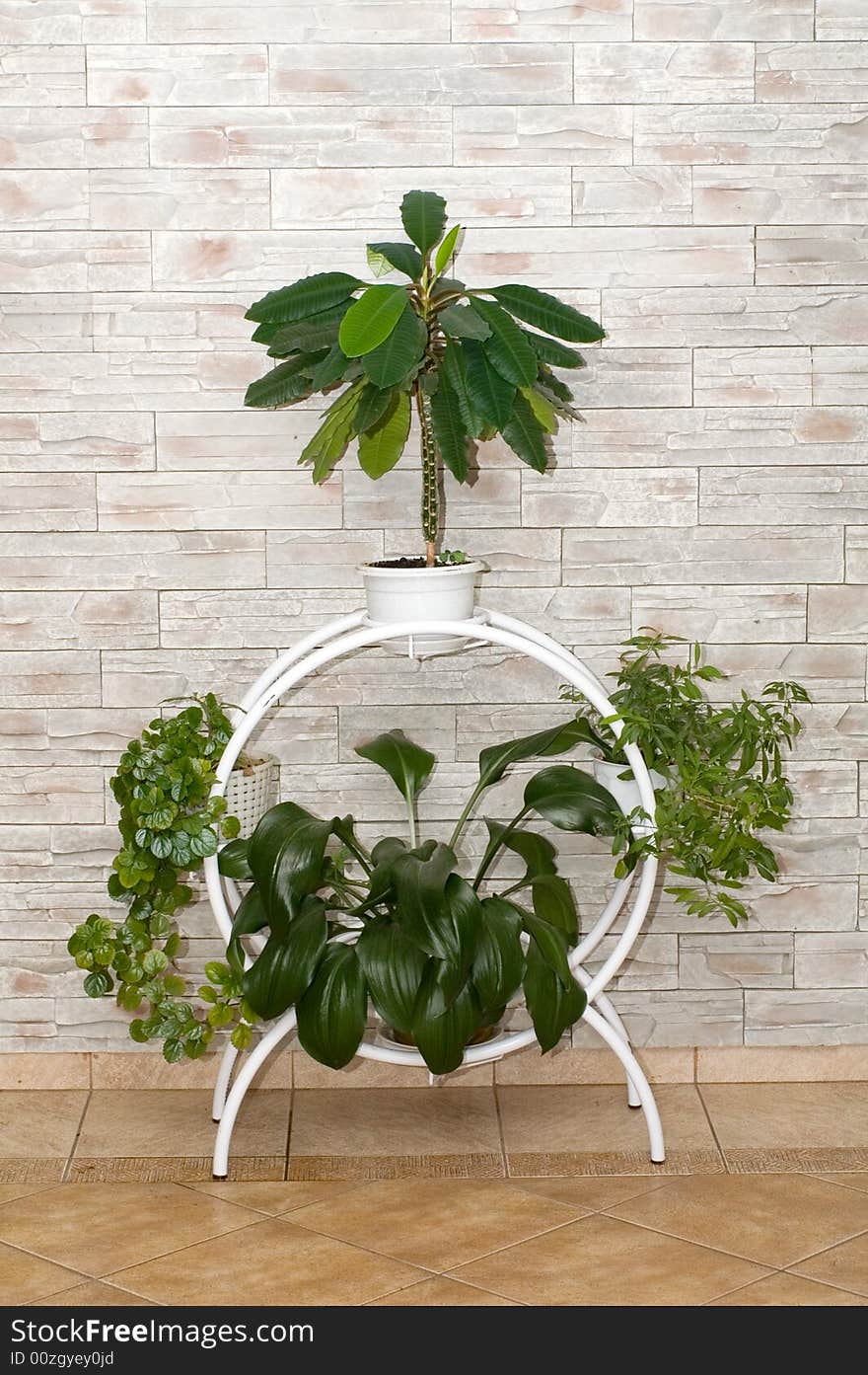 Stand with plants as an element of interior