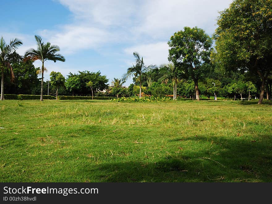 Scenery of city park