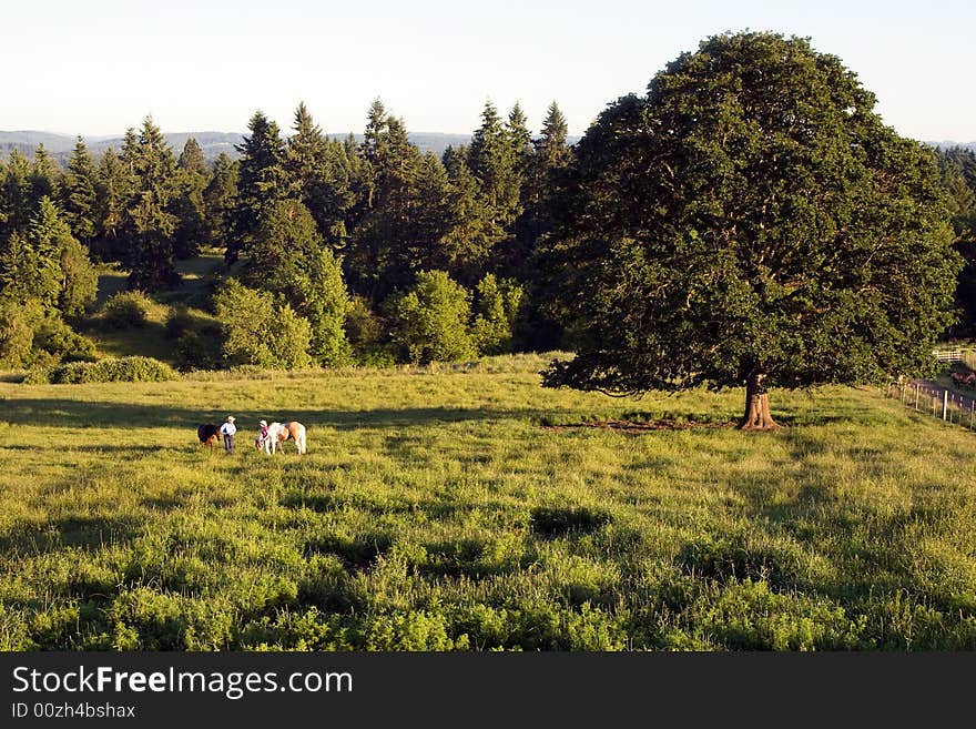 Two People Talking in Grass - horizontal