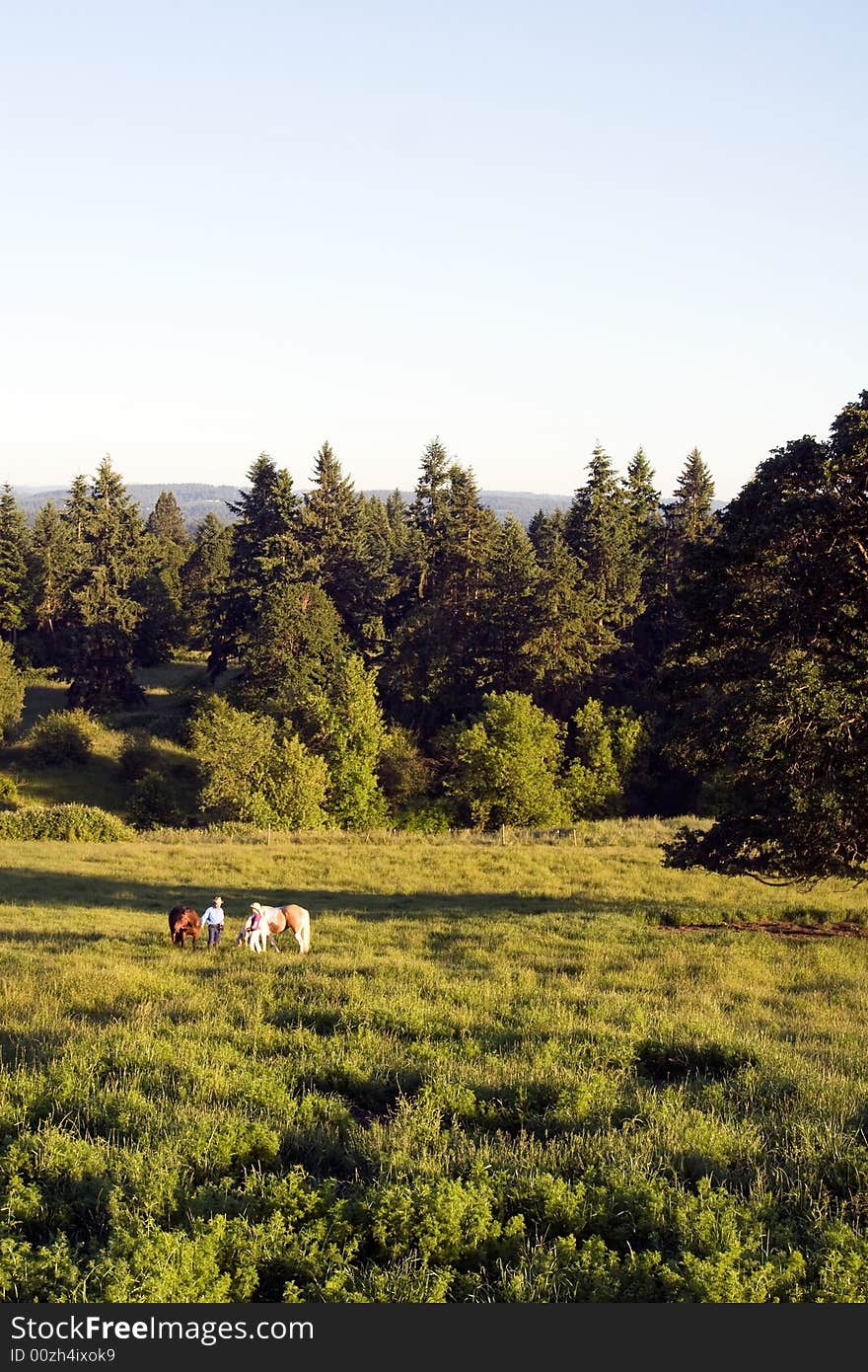 Two People With Horses In Grass - Vertical