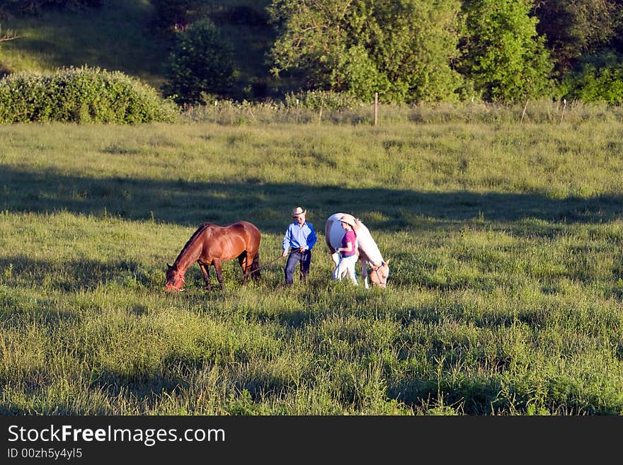 Two farmers converse while their horses are eating in a grass field. - horizontally framed. Two farmers converse while their horses are eating in a grass field. - horizontally framed