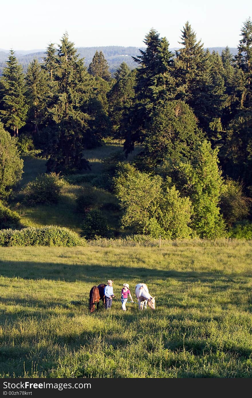 Two farmers talking while in a green field of grass while their horses eat. - vertically framed. Two farmers talking while in a green field of grass while their horses eat. - vertically framed