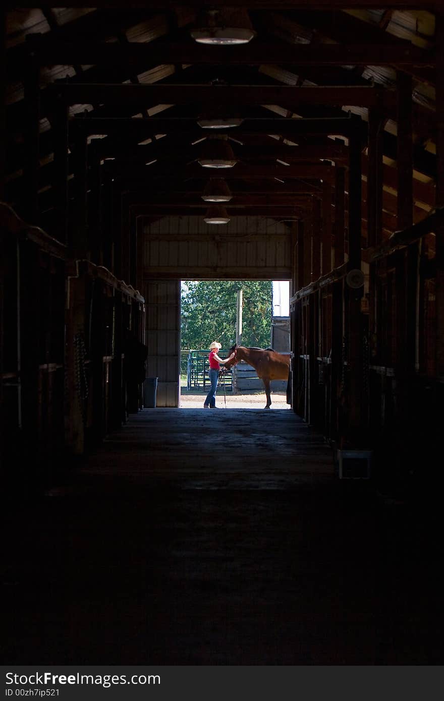 A trainer showing affection towards a brown horse at the end of the horse stalls. - vertically framed. A trainer showing affection towards a brown horse at the end of the horse stalls. - vertically framed