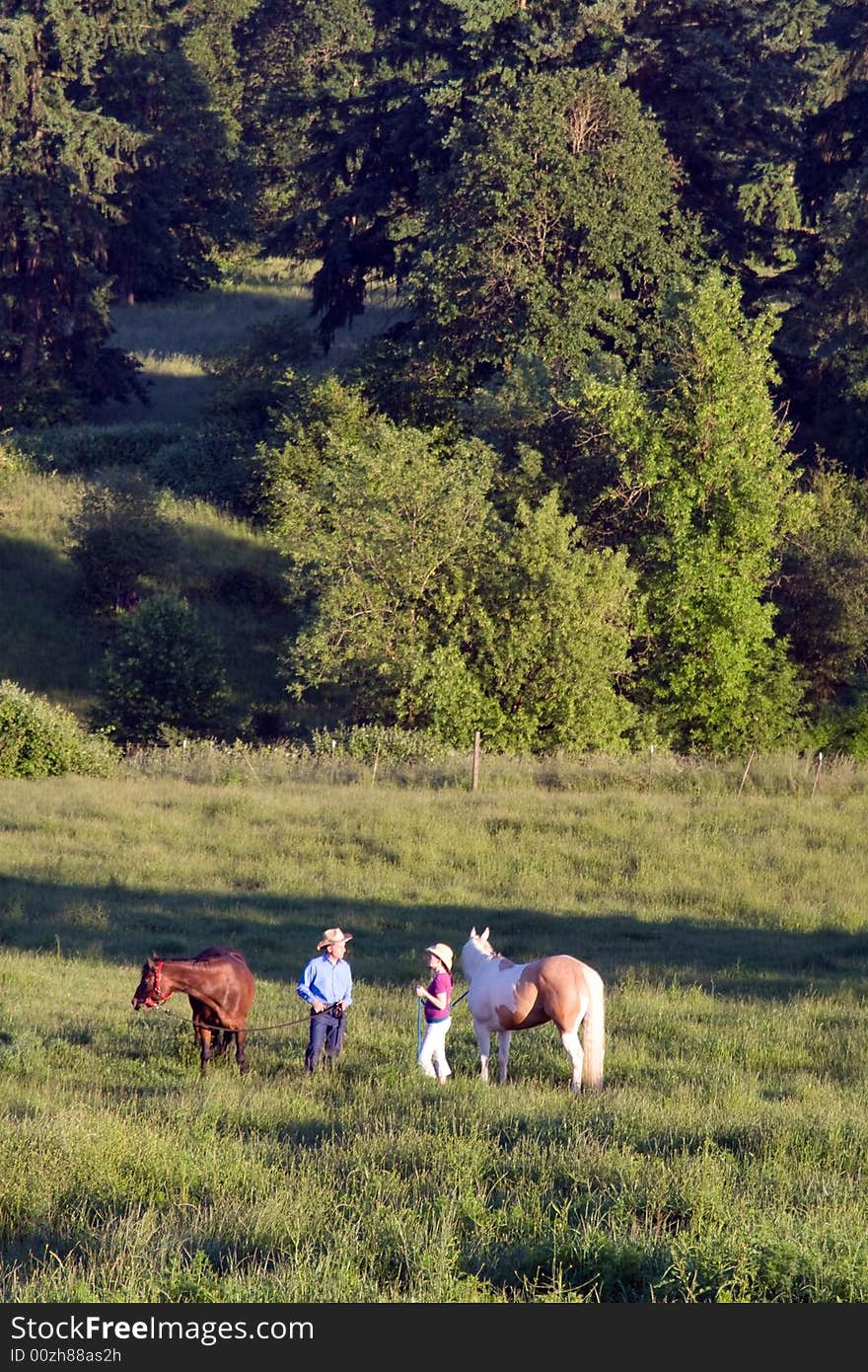 Horses in Grass - vertical